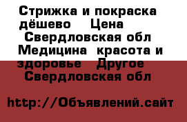 Стрижка и покраска  дёшево  › Цена ­ 100 - Свердловская обл. Медицина, красота и здоровье » Другое   . Свердловская обл.